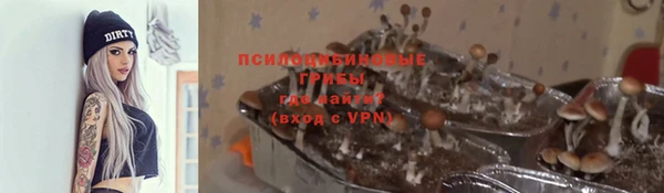 метадон Арсеньев