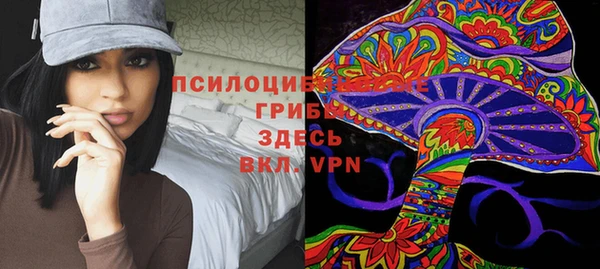 ALPHA-PVP Аркадак