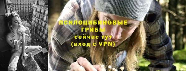 метадон Арсеньев