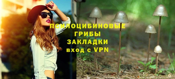 ALPHA-PVP Аркадак